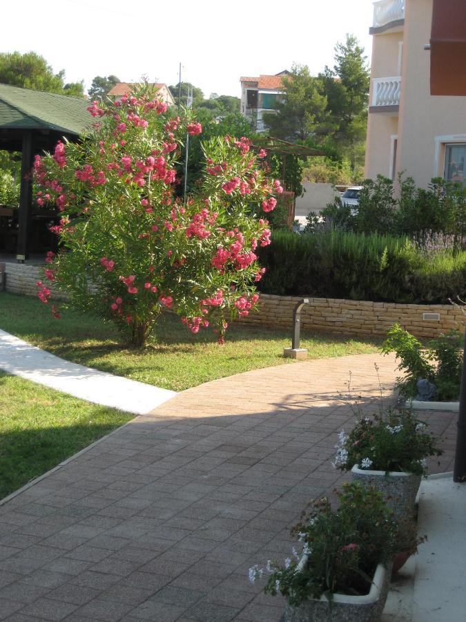 Villa „Drei Palmen“ Sveti Filip i Jakov Exteriör bild