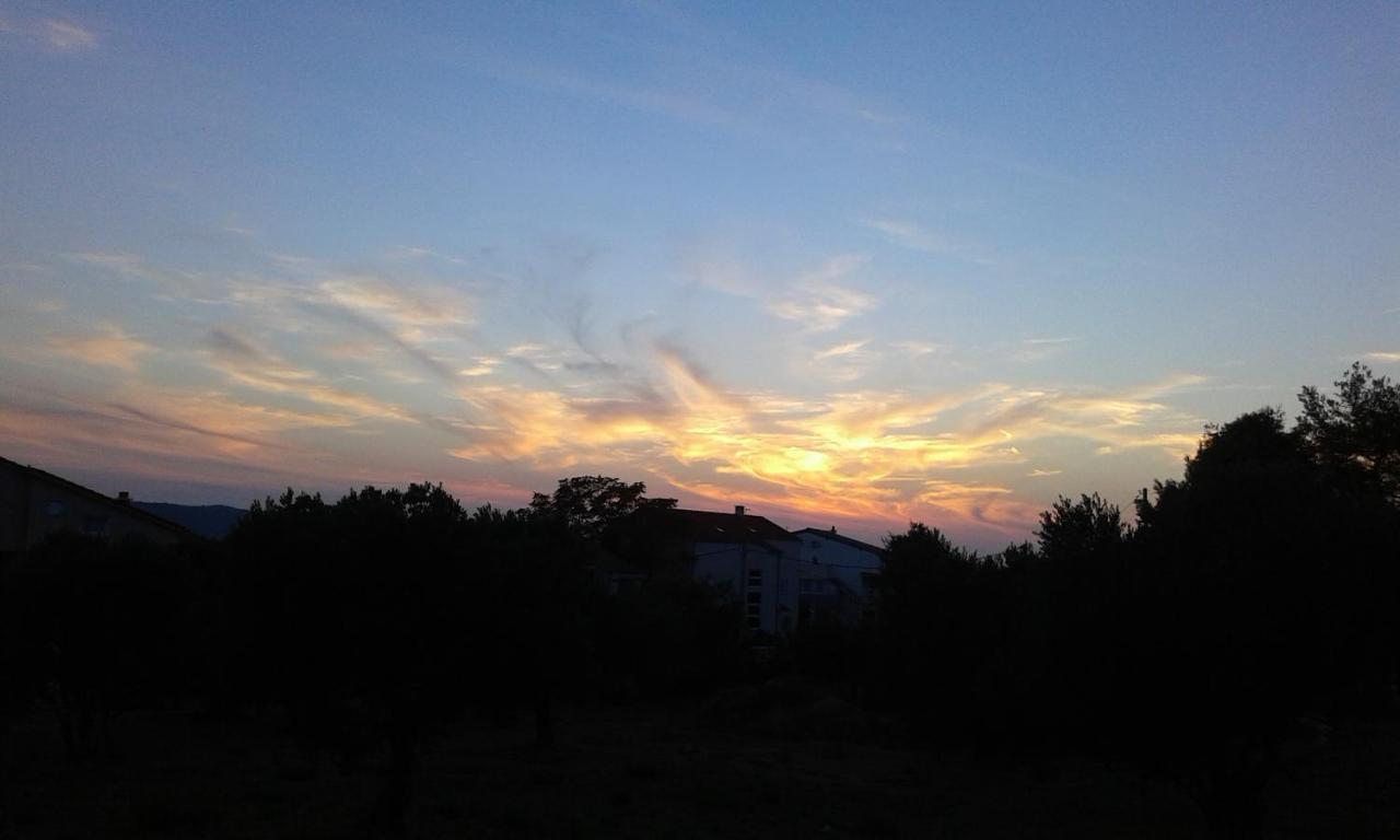 Villa „Drei Palmen“ Sveti Filip i Jakov Exteriör bild