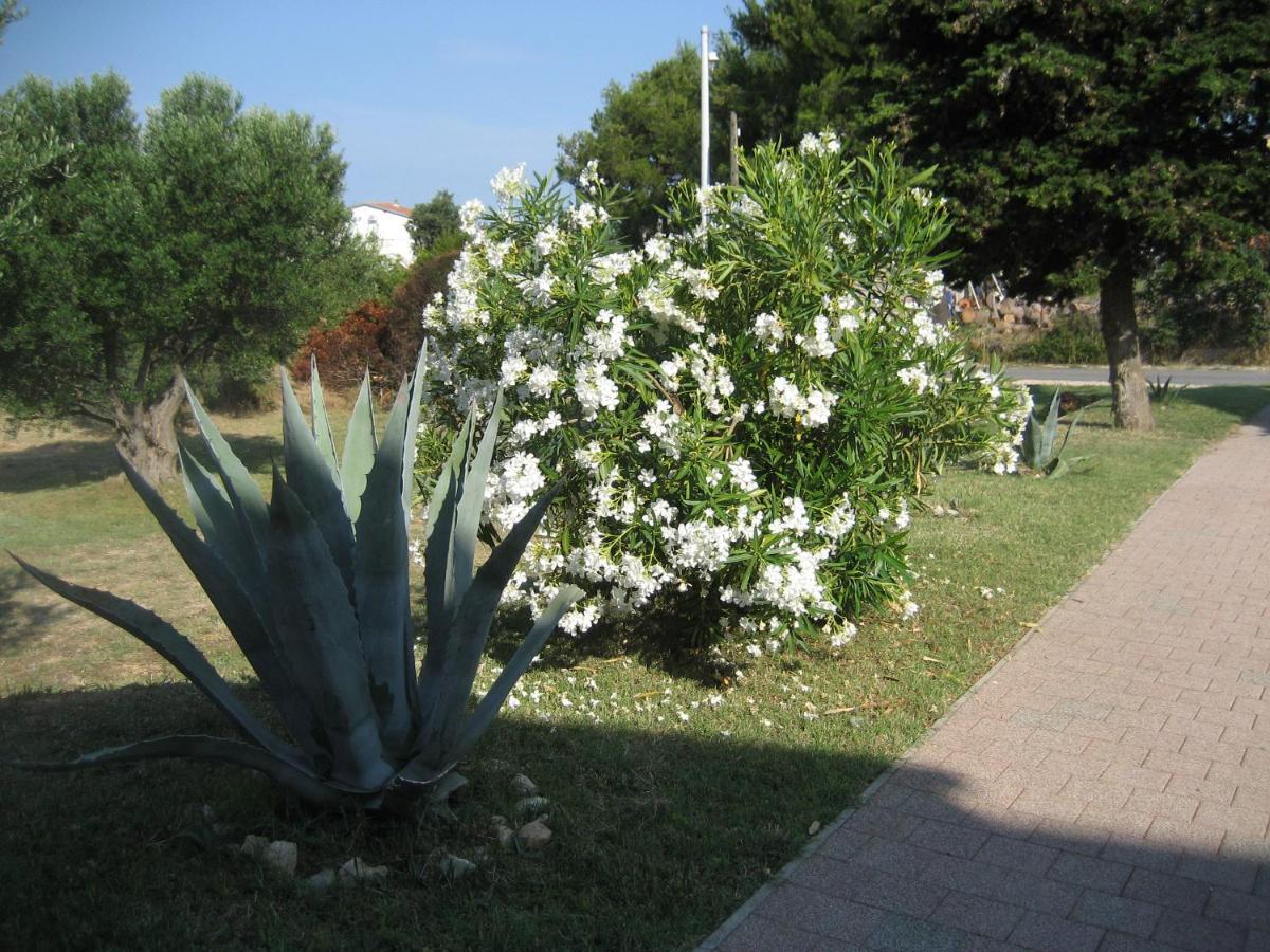 Villa „Drei Palmen“ Sveti Filip i Jakov Exteriör bild