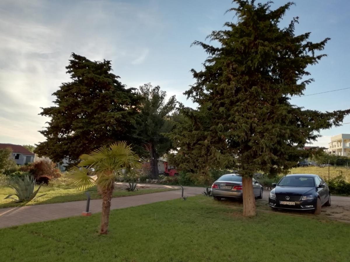 Villa „Drei Palmen“ Sveti Filip i Jakov Exteriör bild