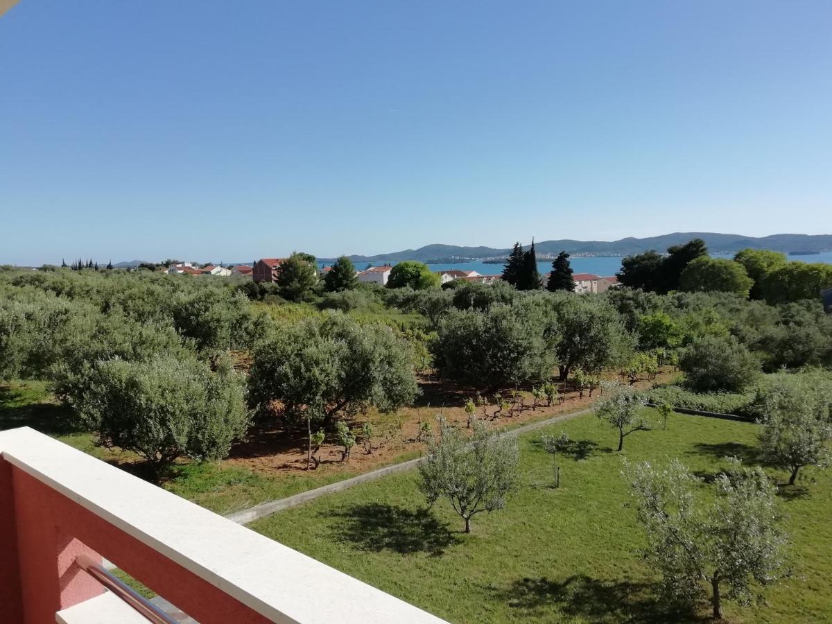 Villa „Drei Palmen“ Sveti Filip i Jakov Exteriör bild