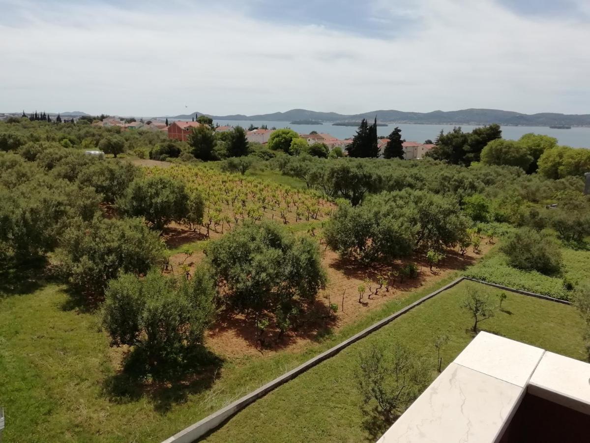 Villa „Drei Palmen“ Sveti Filip i Jakov Exteriör bild